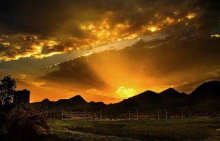 浮云游子意，落日故人情 古詩詞中的思鄉與友情